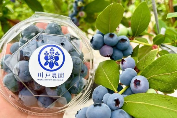 LINE_ALBUM_写真_260206_42 LINE_ALBUM_写真_260206_42