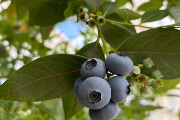 LINE_ALBUM_写真_260206_43 LINE_ALBUM_写真_260206_43