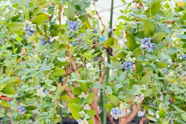 LINE_ALBUM_写真_260206_46 LINE_ALBUM_写真_260206_46